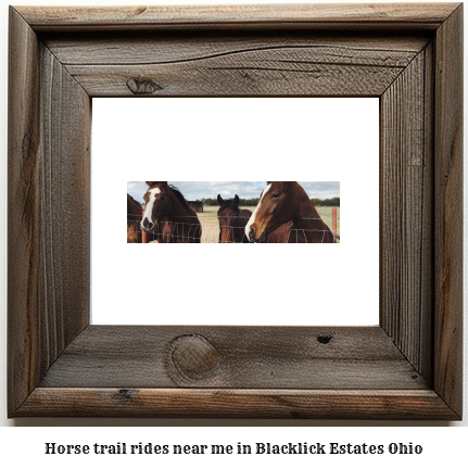 horse trail rides near me in Blacklick Estates, Ohio